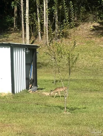 $468,000 | 4394 Crabtree Church Road, Molino, FL 32577