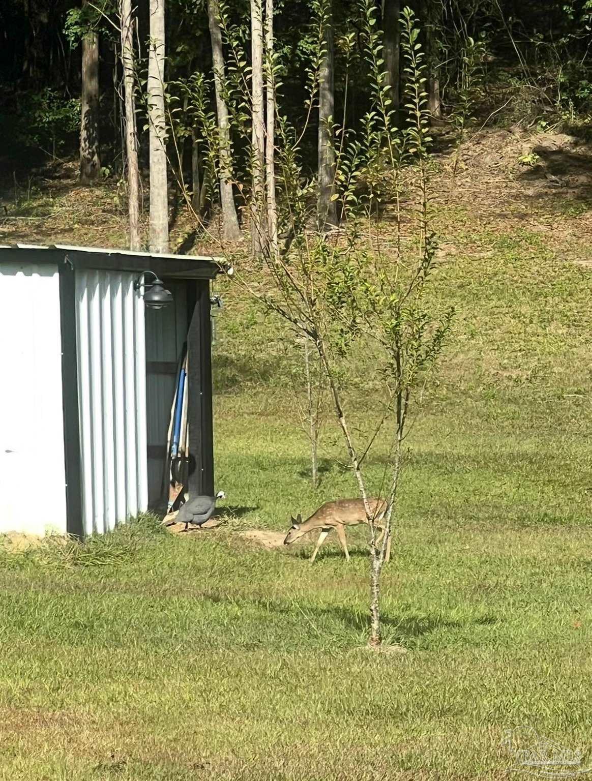 4394 Crabtree Church Road Molino, FL 32577 - Photo 50 of 70 a house view with swimming pool