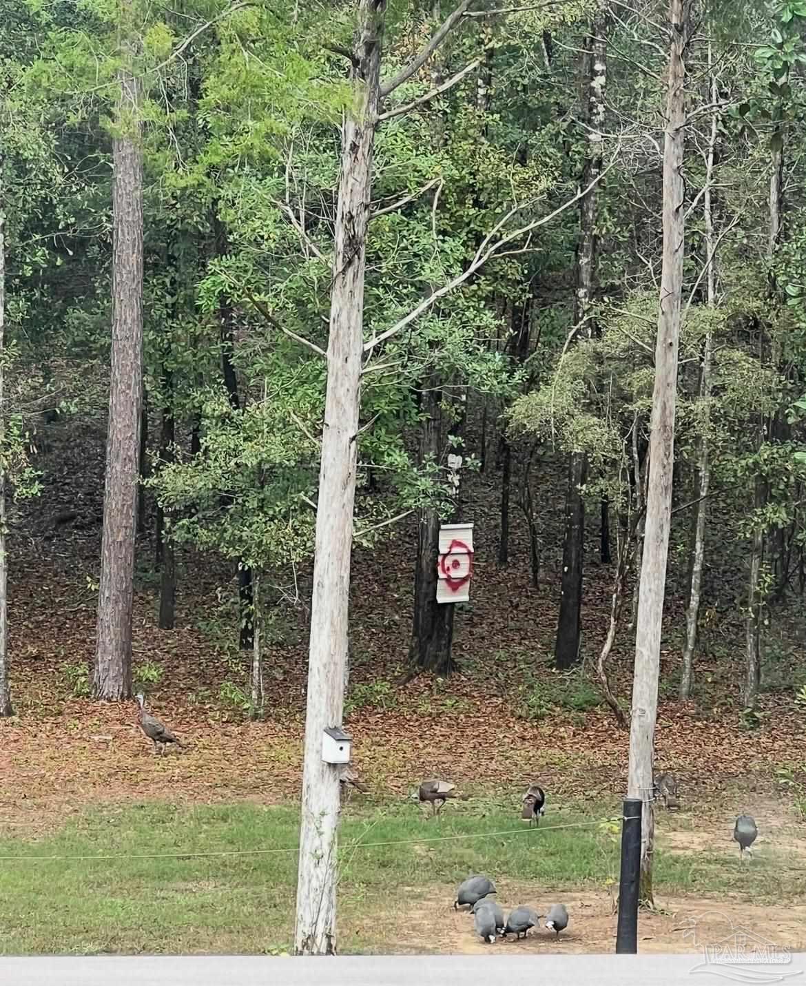 4394 Crabtree Church Road Molino, FL 32577 - Photo 62 of 70