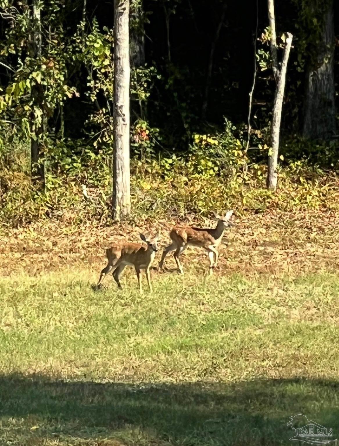 4394 Crabtree Church Road Molino, FL 32577 - Photo 63 of 70