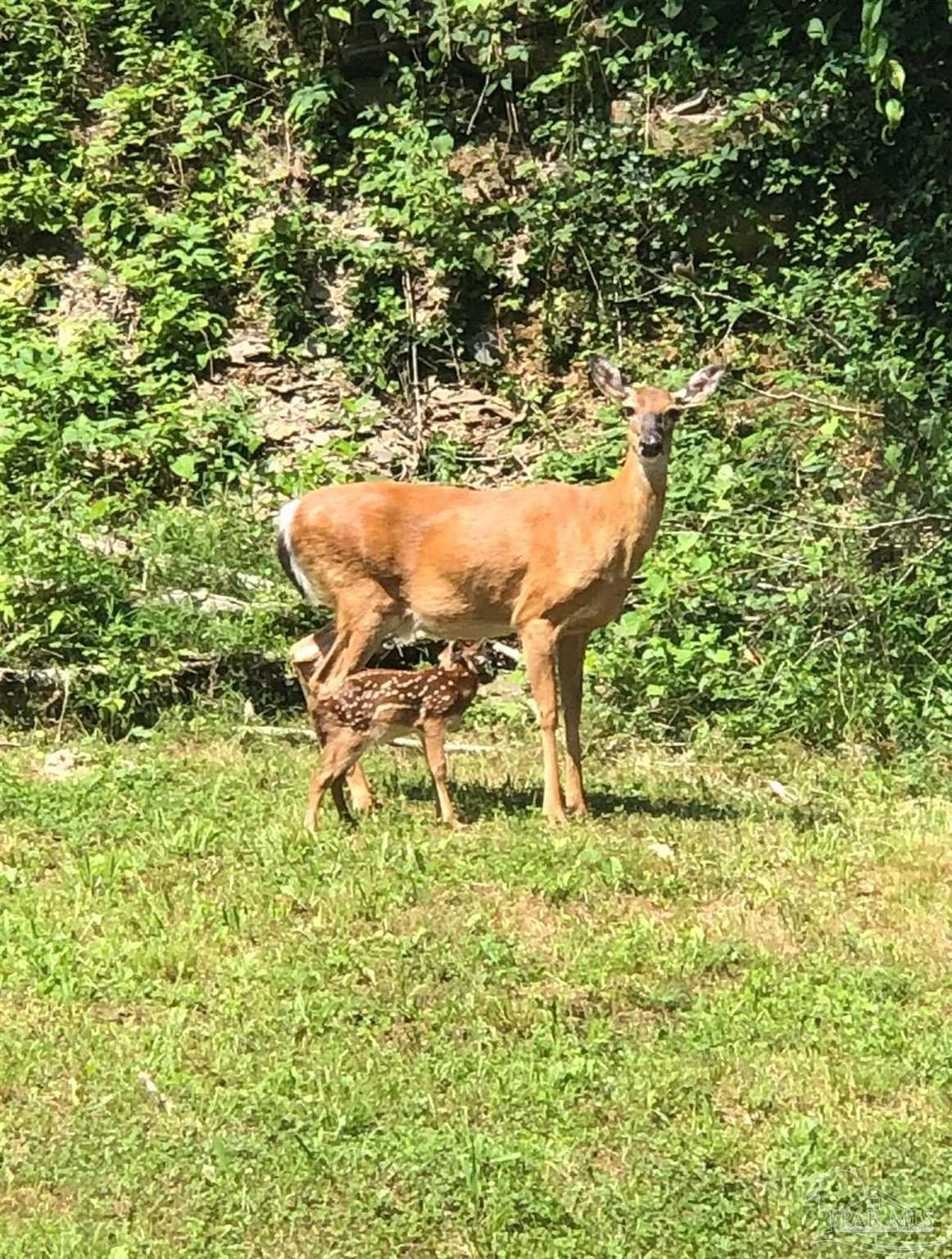 4394 Crabtree Church Road Molino, FL 32577 - Photo 64 of 70 a balcony with table and chairs