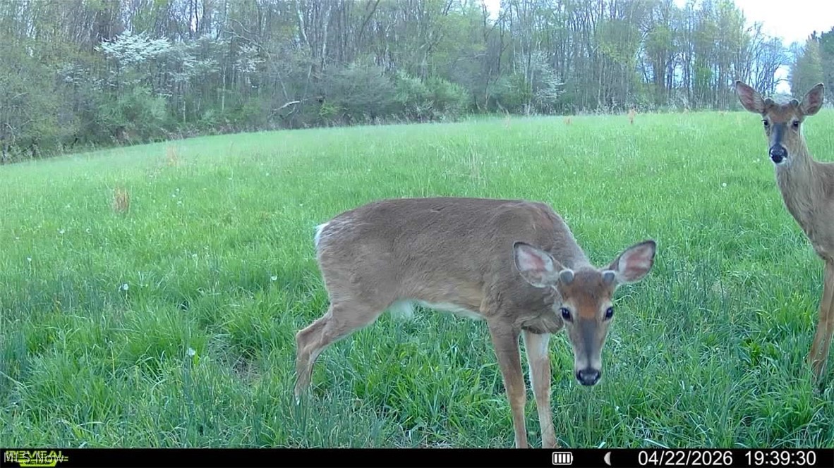 4101 Peace Road Southeast Carrollton, OH 44615 - Photo 13 of 48