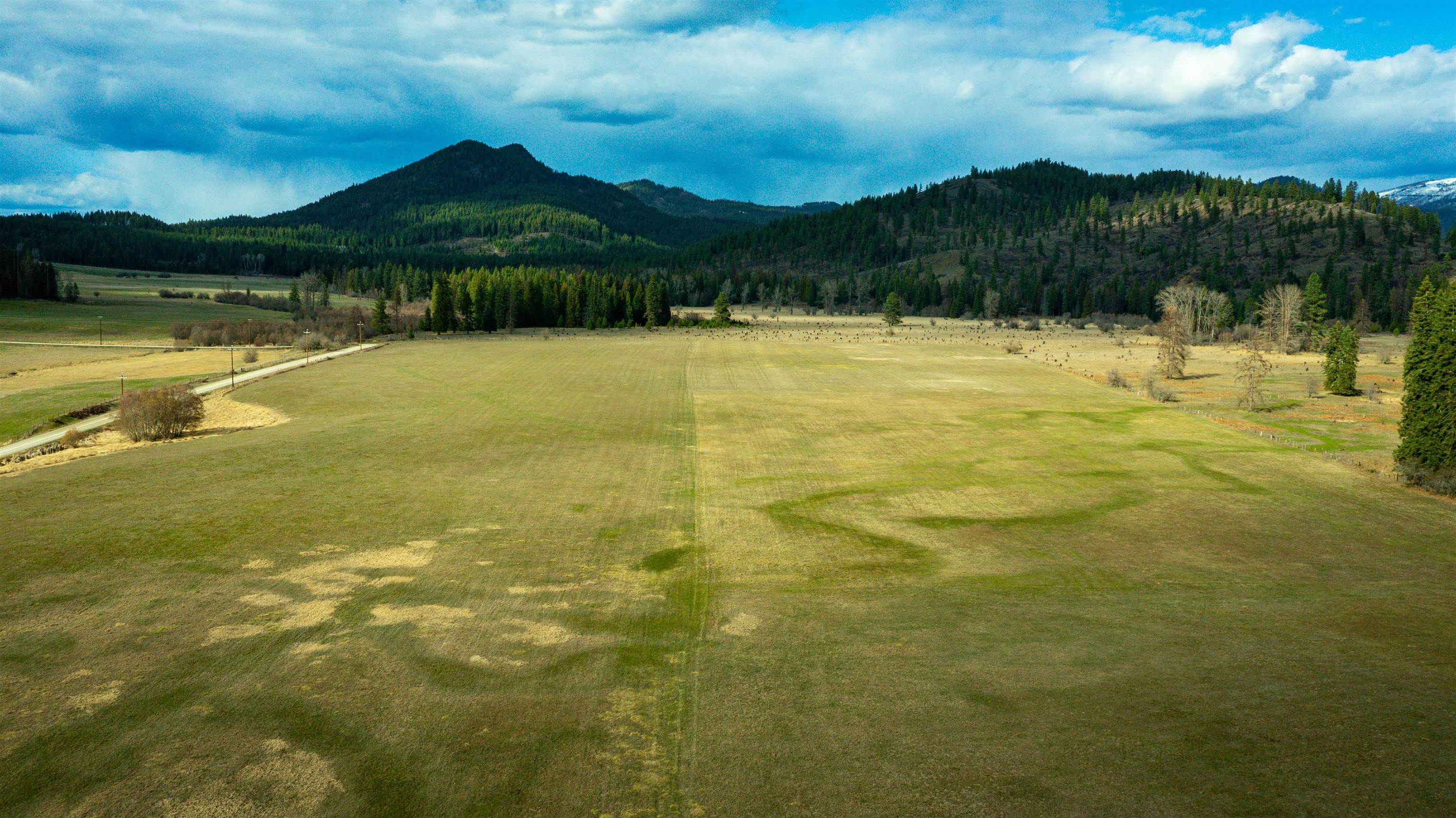 901 Skookum Creek Road Usk, WA 99180 - Photo 40 of 50