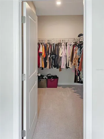 a view of a closet with storage