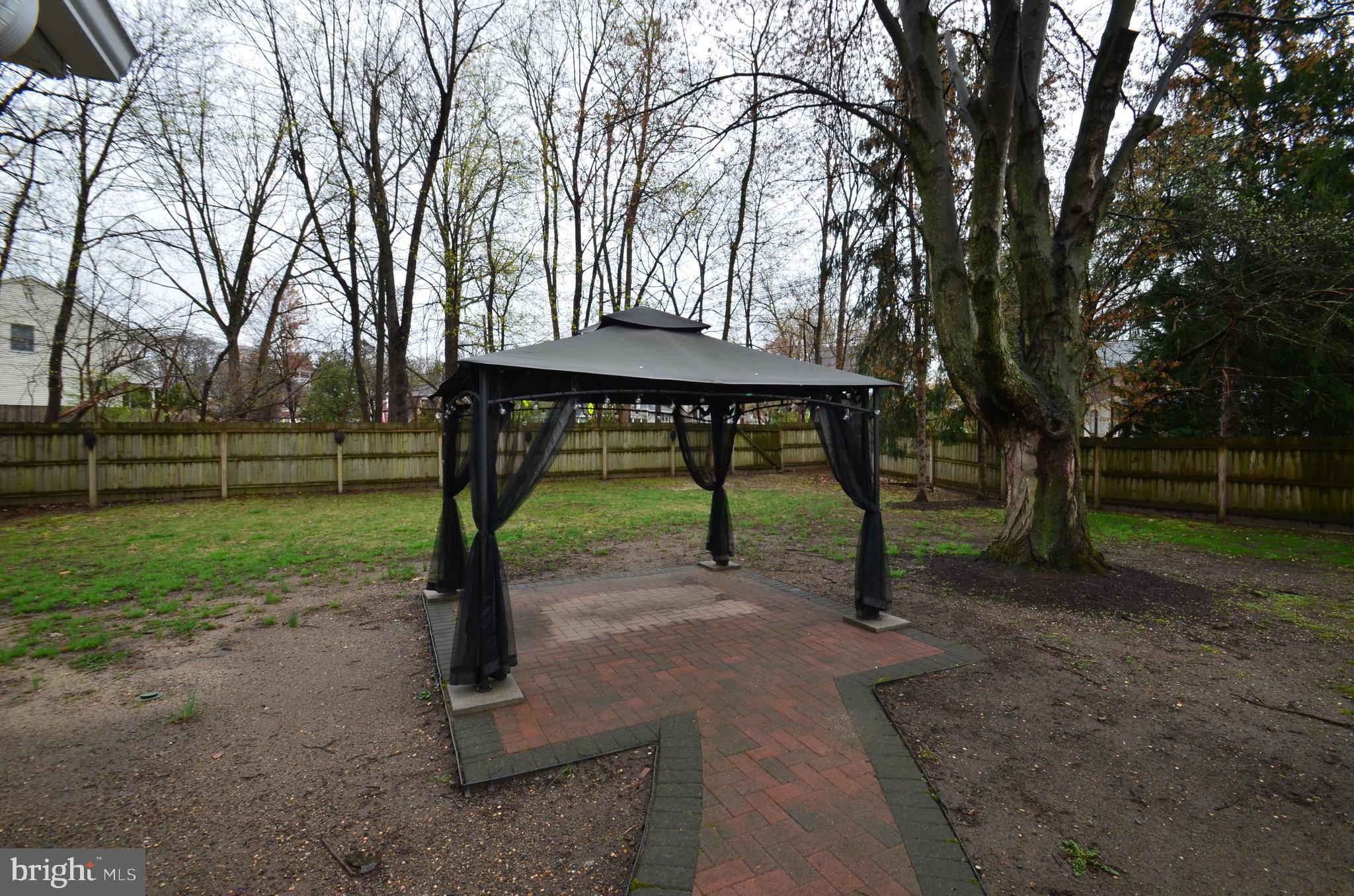 49 Wallace Road Princeton Junction, NJ 08550 - Photo 16 of 32 a view of a park with large trees