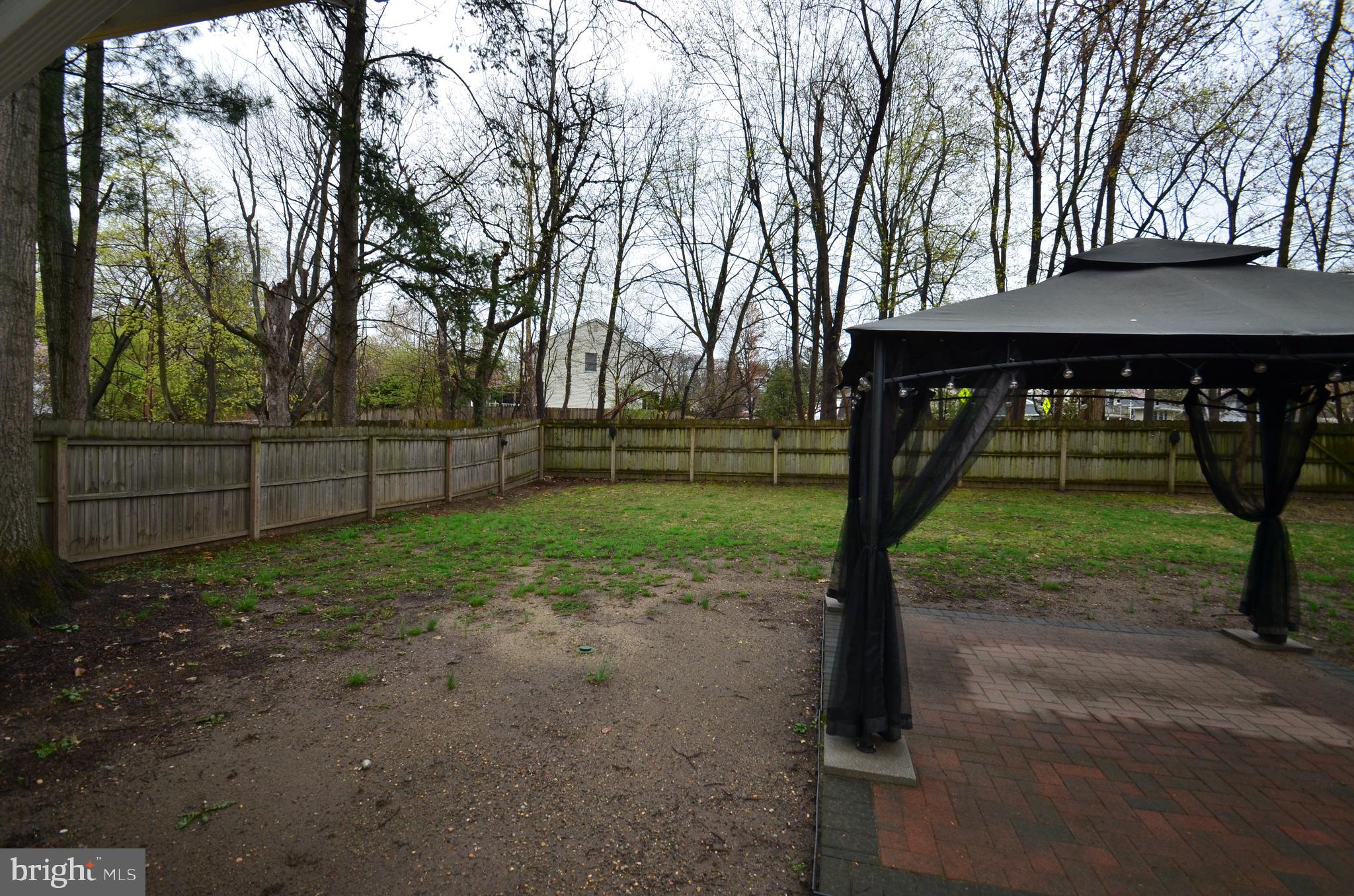 49 Wallace Road Princeton Junction, NJ 08550 - Photo 20 of 32 a view of a yard with plants and tree