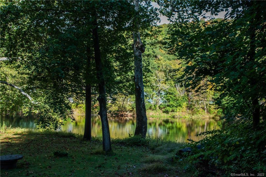 Fish right from your own back yard!