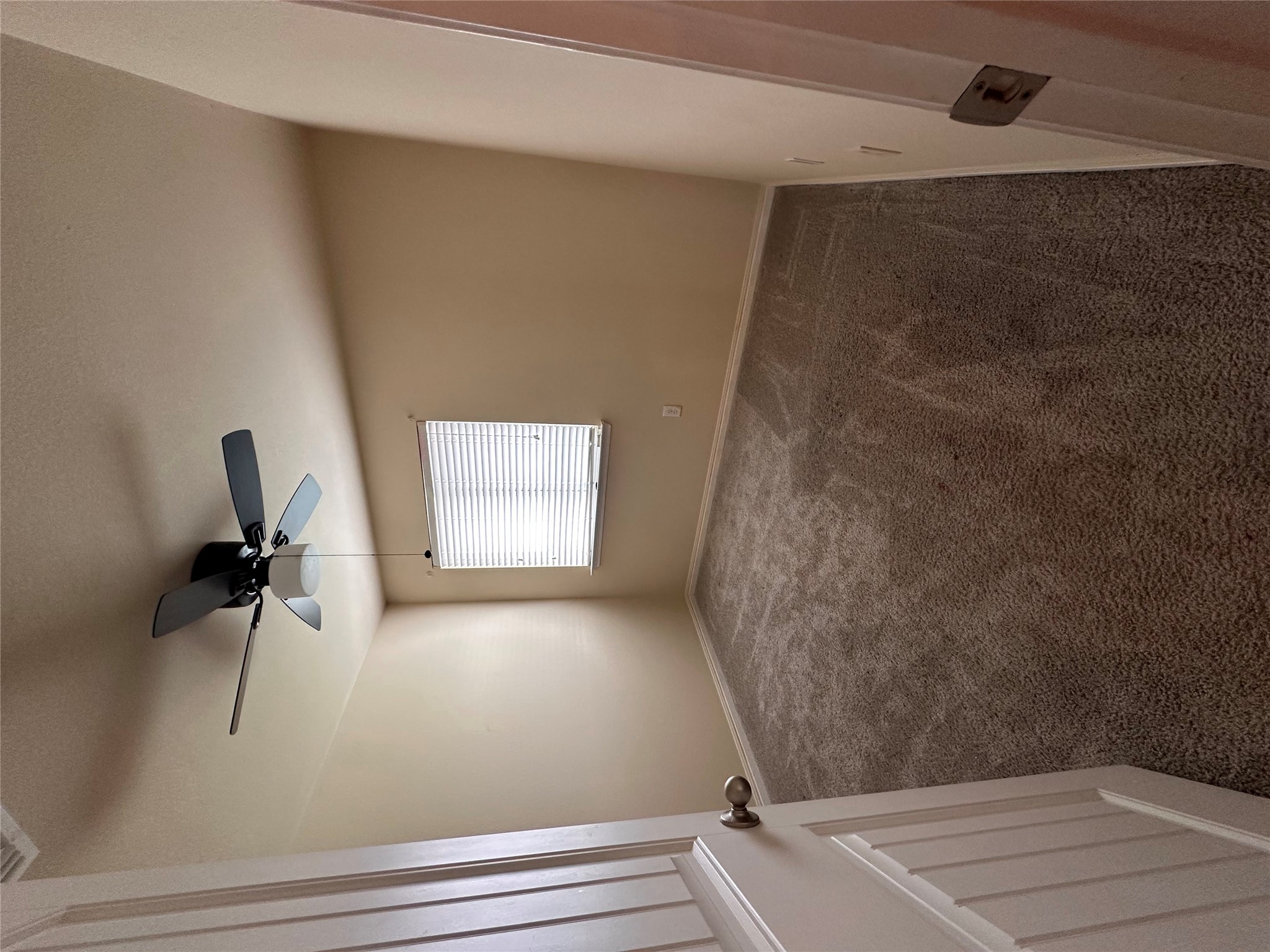 207 Liard River Road Hutto, TX 78634 - Photo 14 of 25 Carpeted empty room with ceiling fan and baseboards