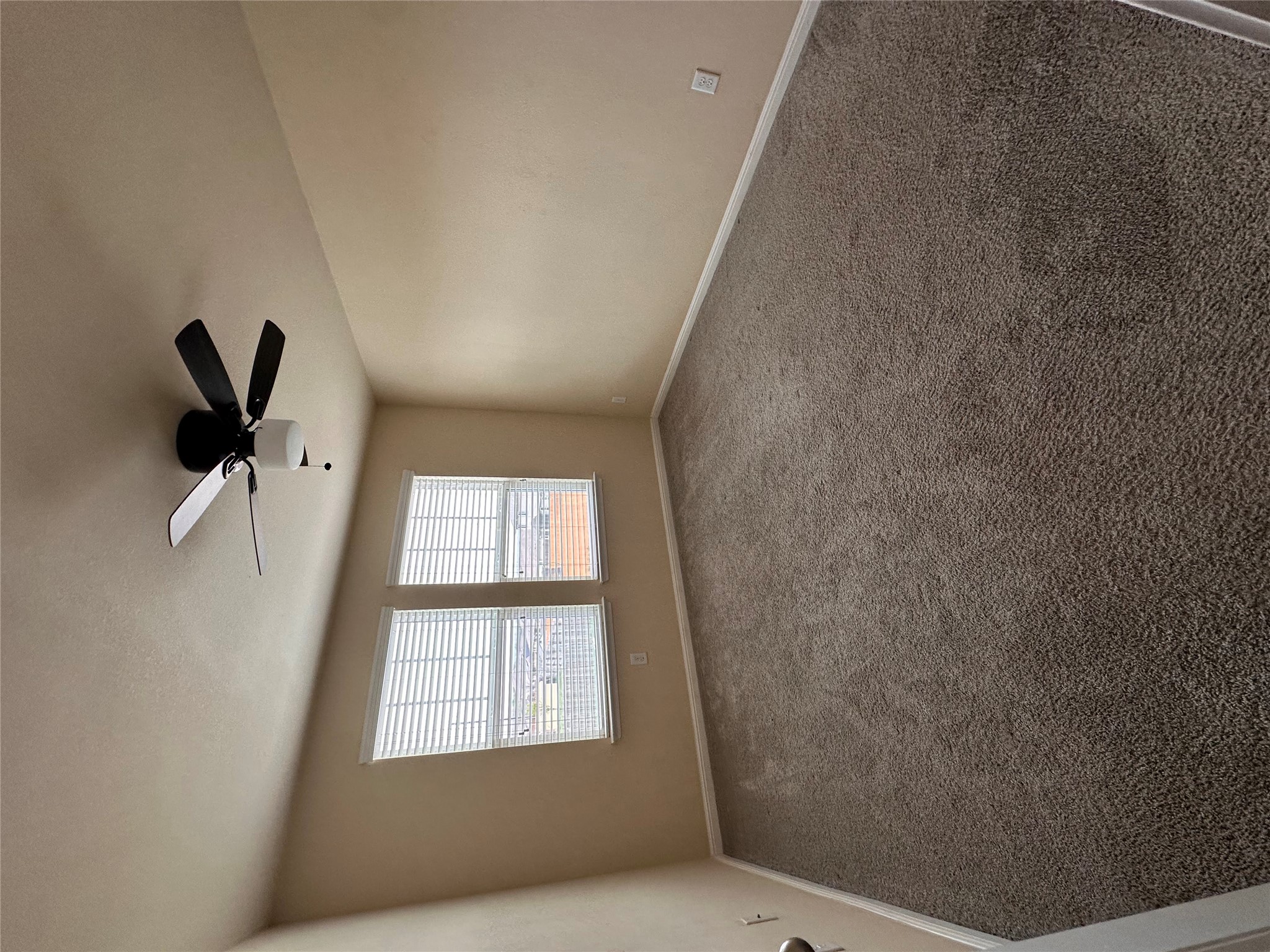 207 Liard River Road Hutto, TX 78634 - Photo 16 of 25 Carpeted spare room featuring baseboards and ceiling fan