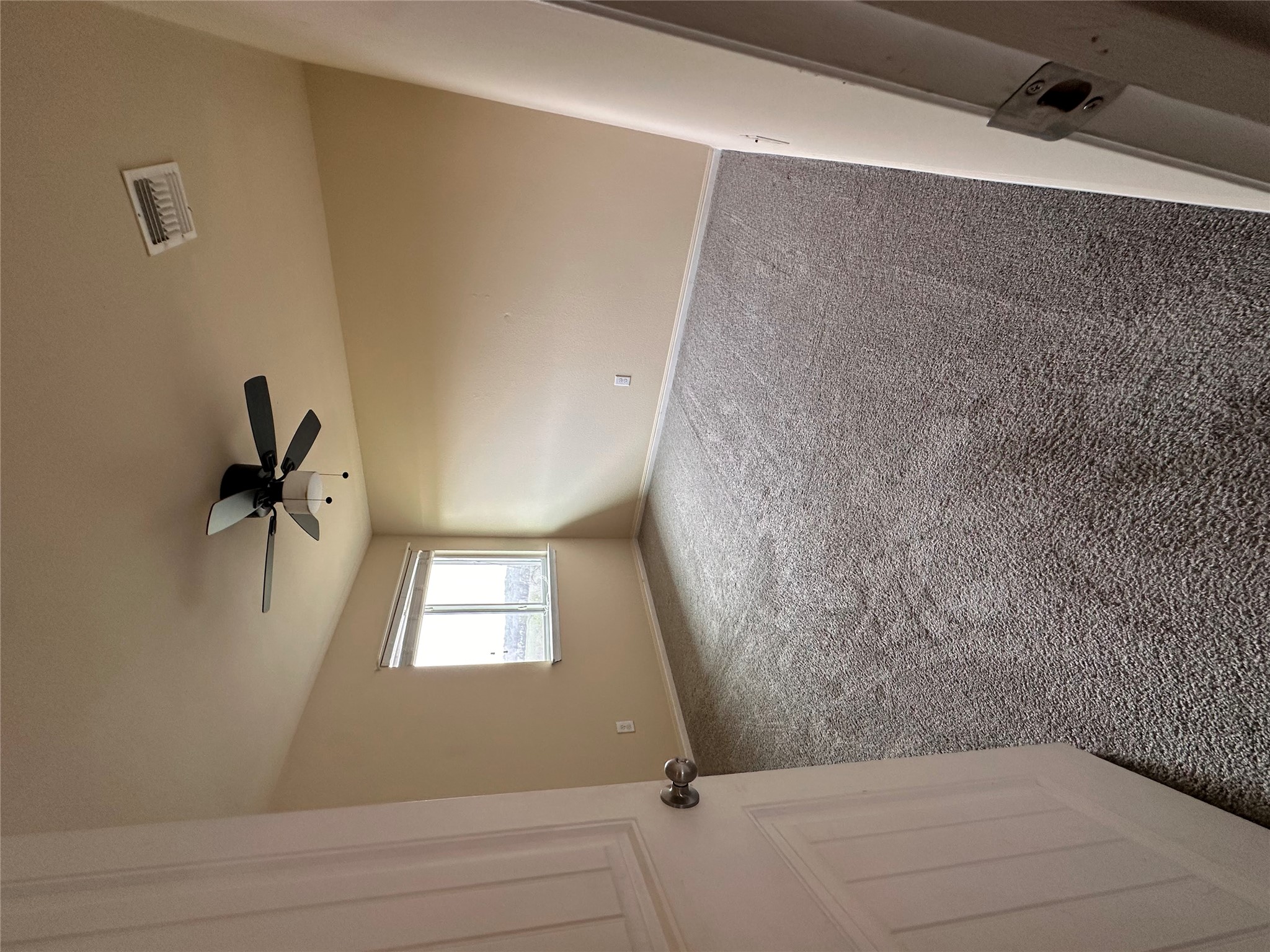 207 Liard River Road Hutto, TX 78634 - Photo 19 of 25 Carpeted spare room with baseboards and ceiling fan