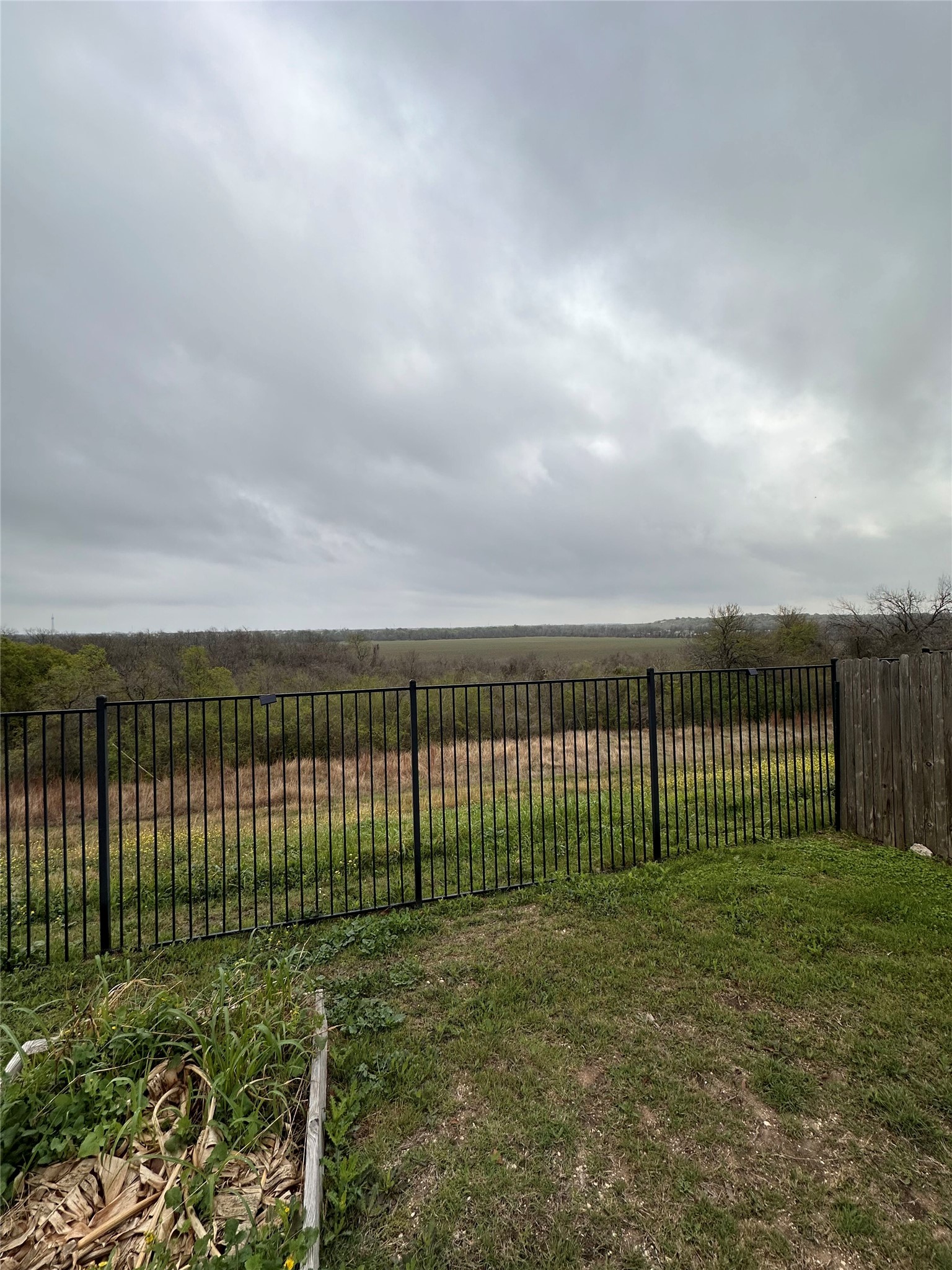 207 Liard River Road Hutto, TX 78634 - Photo 22 of 25 View of yard