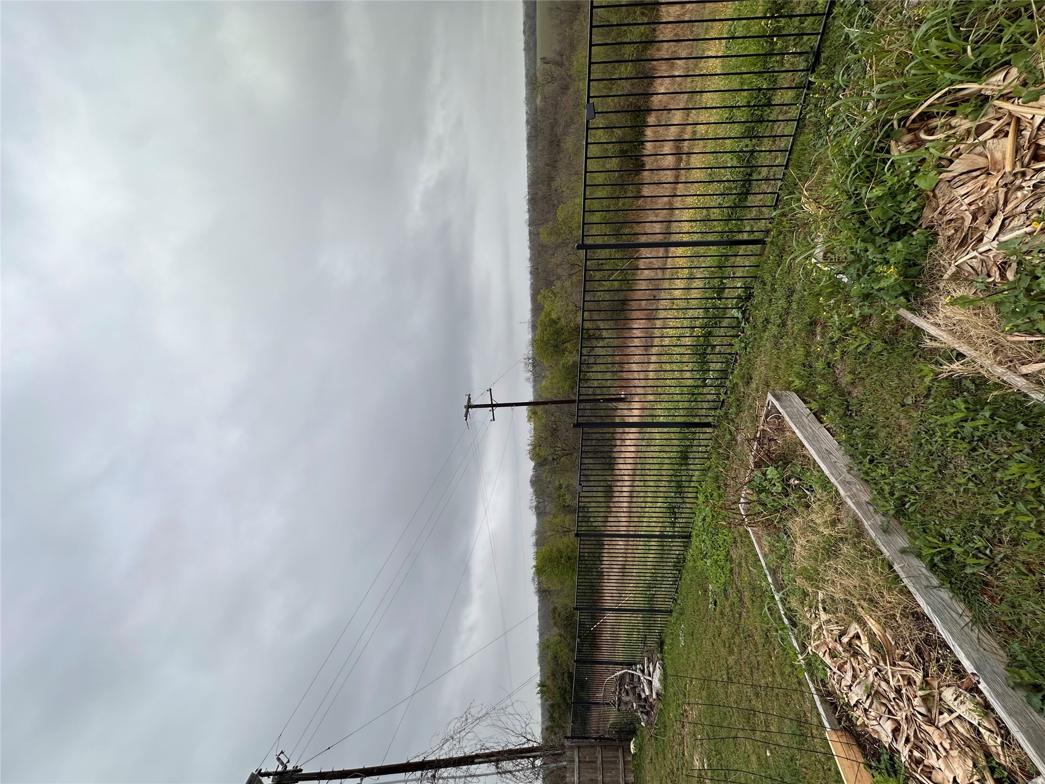 207 Liard River Road Hutto, TX 78634 - Photo 23 of 25 View of yard