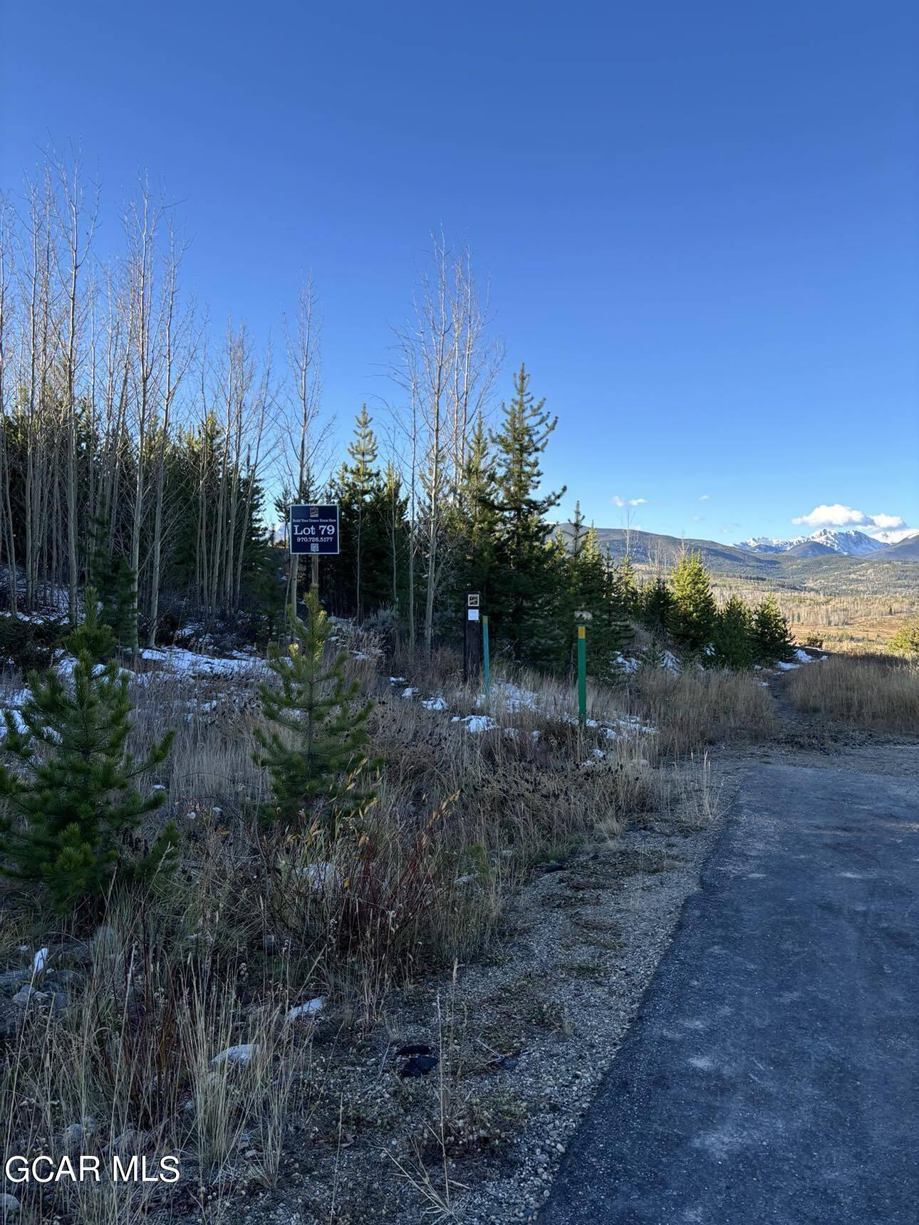 313 Bridger Trace Fraser, CO 80442 - Photo 2 of 3 a view of outdoor space and trees