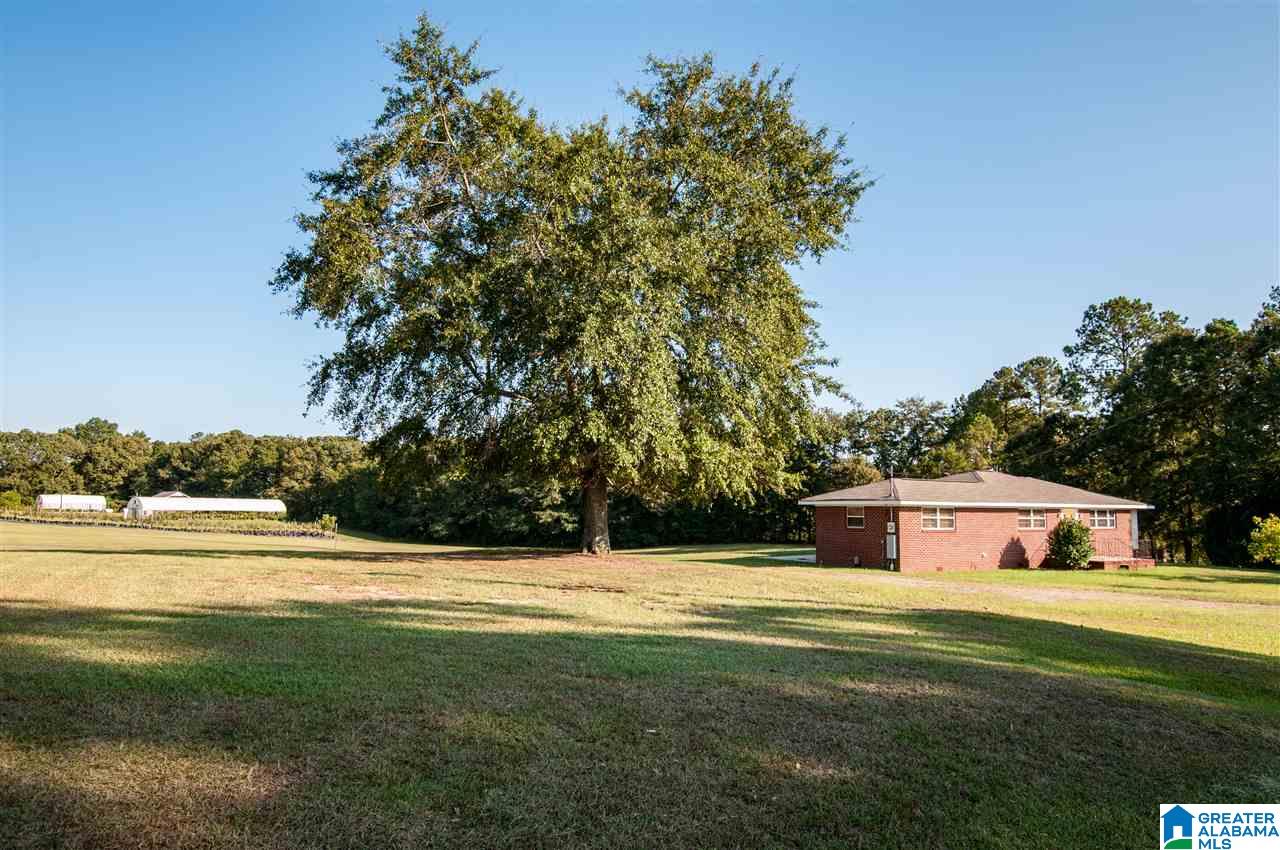98 County Road 271 Clanton, AL 35045 - Photo 17 of 18