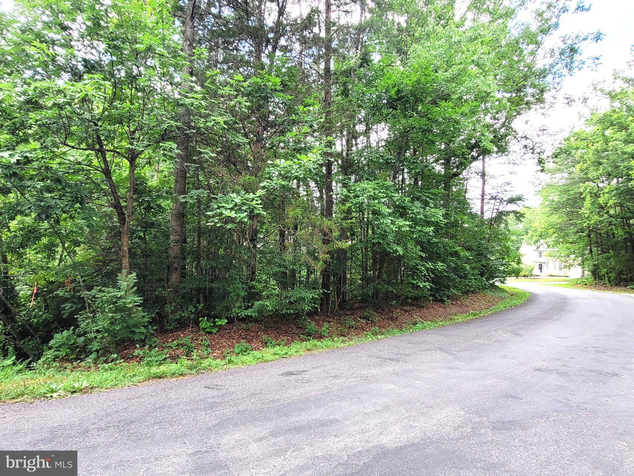 400 Battlefield Road Locust Grove, VA 22508 - Photo 3 of 26 Lot Frontage