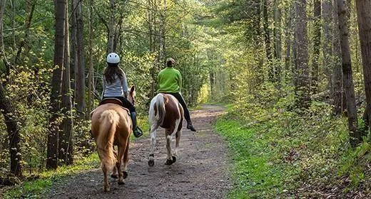 $7,495,000 | 1171 Tbd Fm, Roanoke, TX 76262