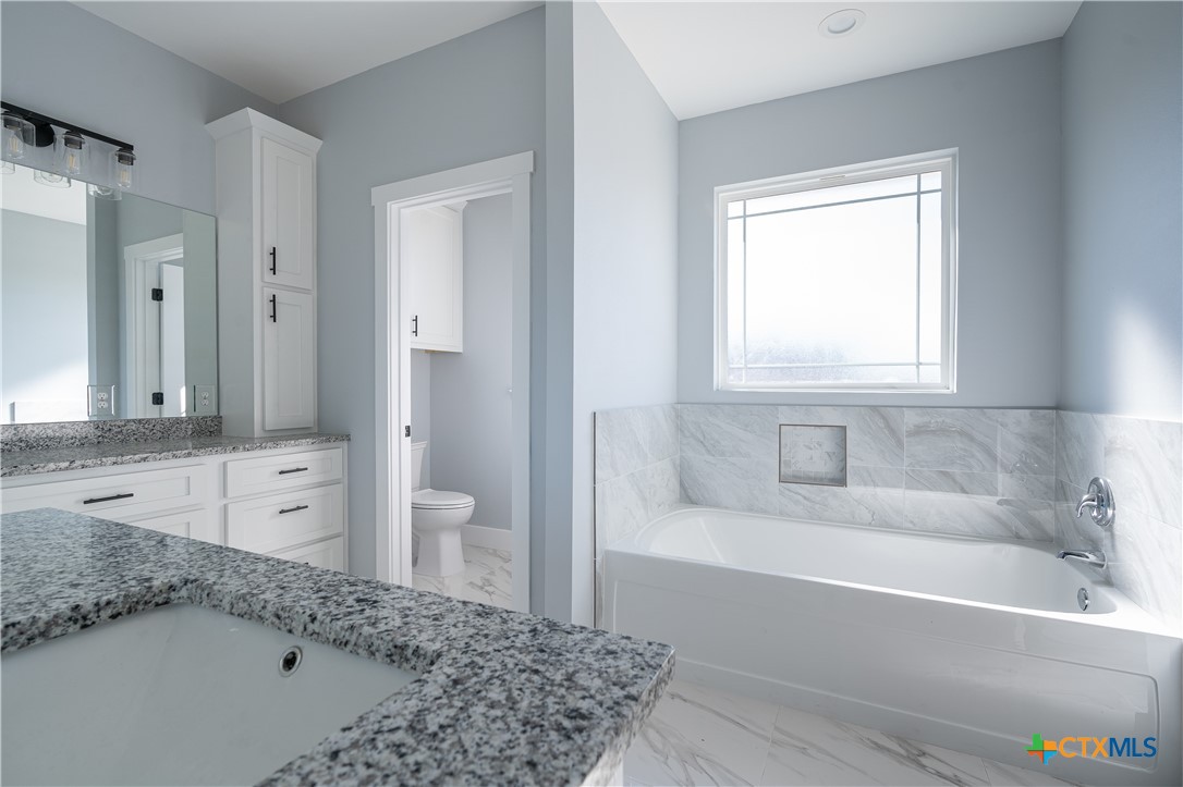 1000 Black Ankle Road Lockhart, TX 78644 - Photo 13 of 40 a bathroom with a granite countertop tub a sink and a large mirror