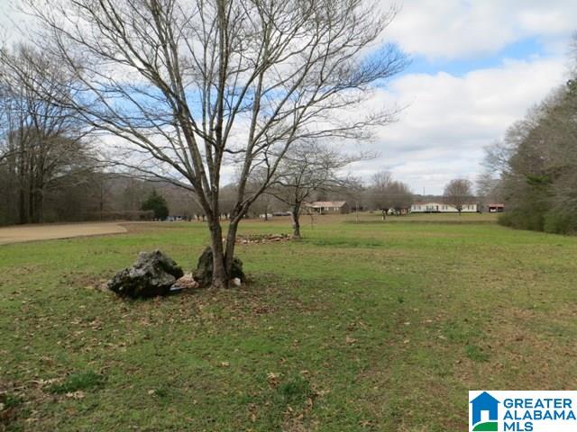 1566 Jackson Trace Road Talladega, AL 35160 - Photo 44 of 47