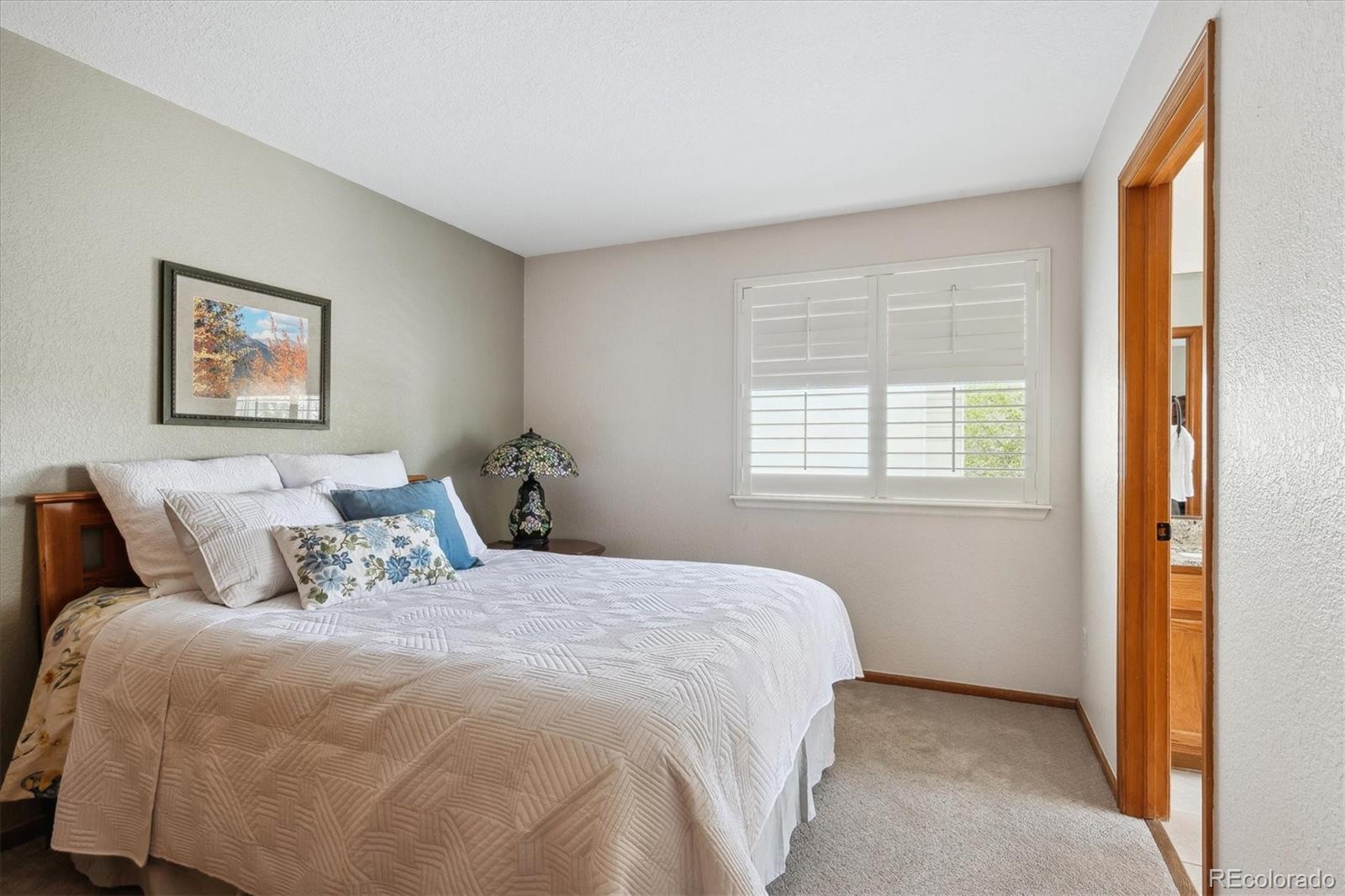 6836 Edgewood Way Highlands Ranch, CO 80130 - Photo 24 of 38 Gallery Image 24