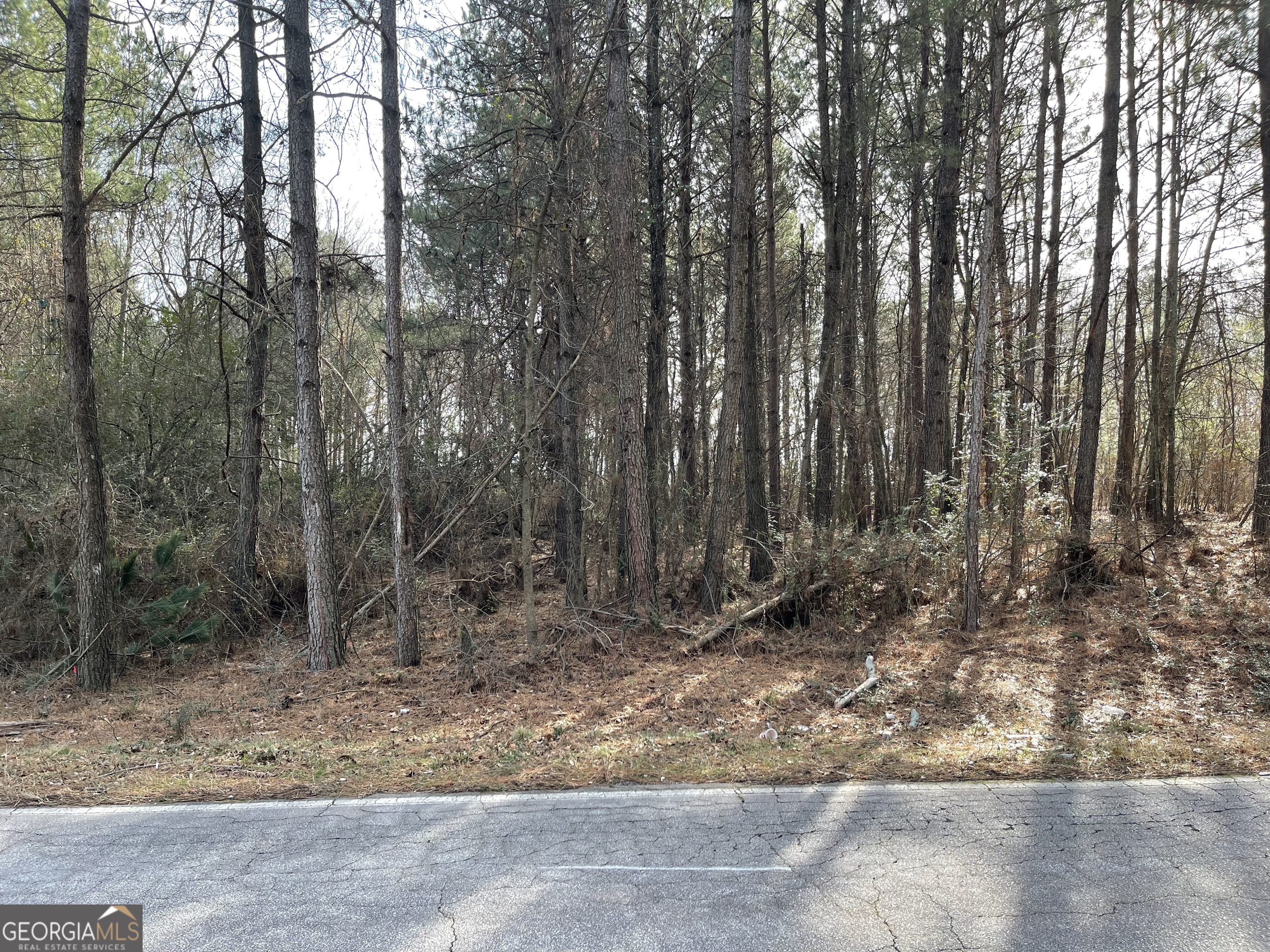 0 Mount Olivet School Road, Unit TRACT 4) Hartwell, GA 30643 - Photo 1 of 1 Gallery Image 1