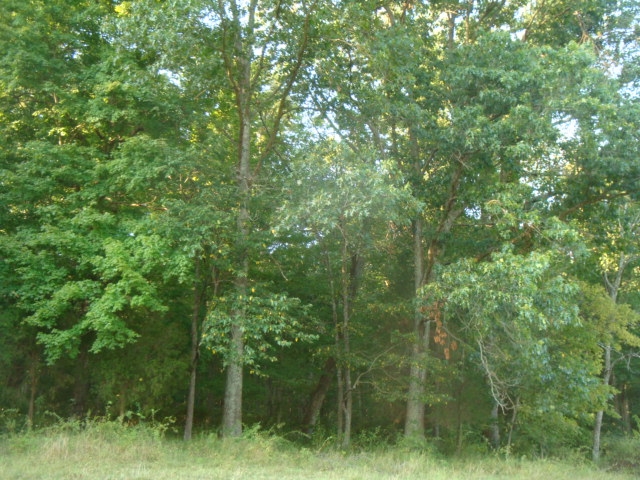 5070 East Mann Road Pekin, IN 47165 - Photo 11 of 20 Gallery Image 11