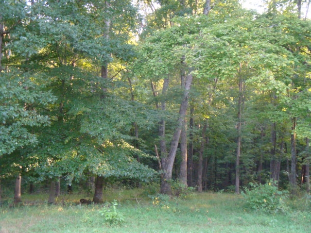 5070 East Mann Road Pekin, IN 47165 - Photo 13 of 20 Gallery Image 13