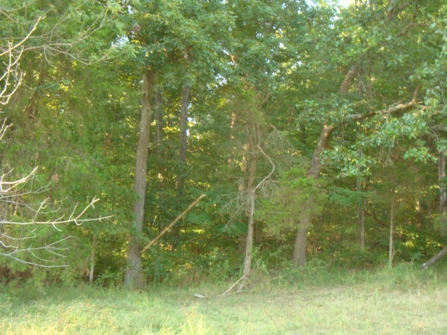 5070 East Mann Road Pekin, IN 47165 - Photo 10 of 20 Gallery Image 10