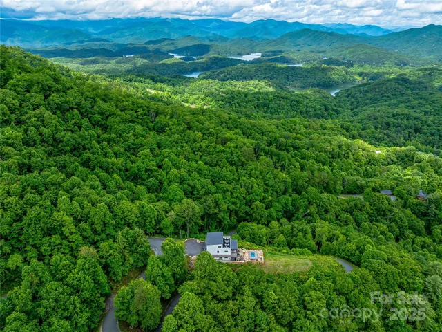 a view of a lush green space
