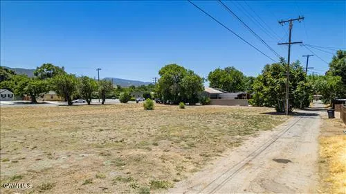 a view of a yard with a tree