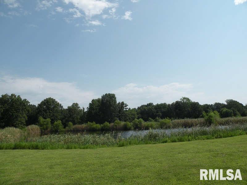 860 Schwartz Road Centralia, IL 62801 - Photo 5 of 21