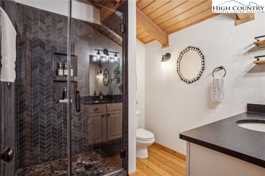 909 Niley Cook Road Blowing Rock, NC 28605 - Photo 15 of 45 a bathroom with a toilet a sink and a mirror