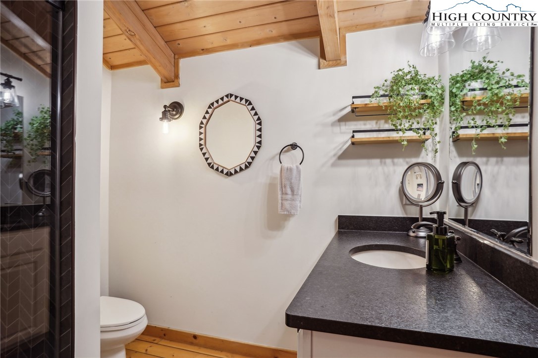 909 Niley Cook Road Blowing Rock, NC 28605 - Photo 16 of 45 a bathroom with a sink a toilet and a shower