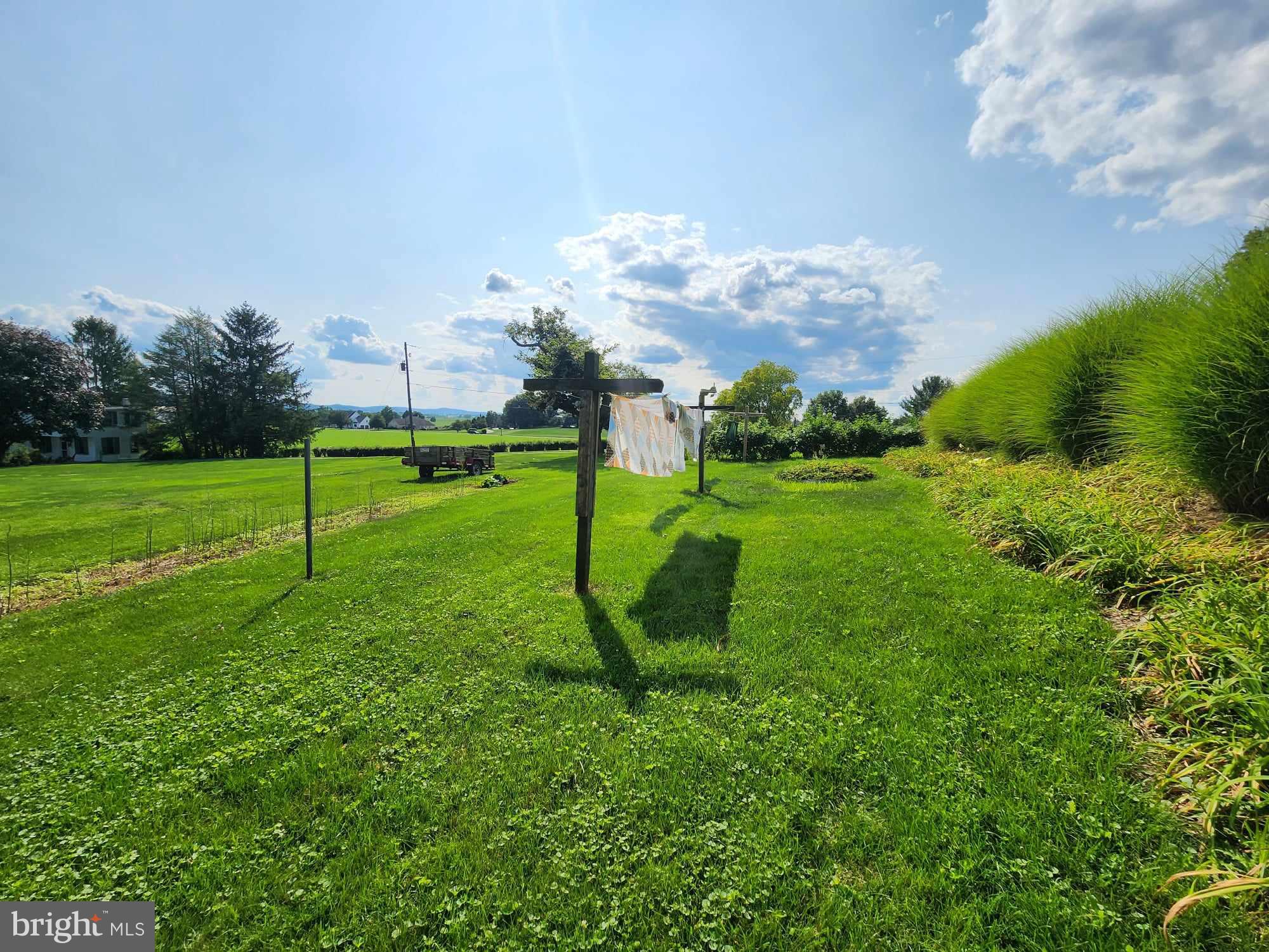 1612 Silver Spring Road Landisville, PA 17538 - Photo 49 of 55 Back yard - Country Setting