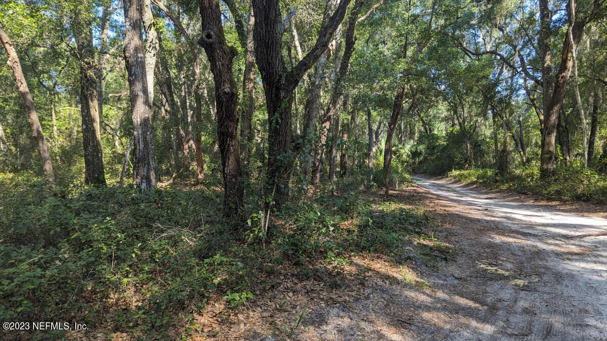 0 Doby Road Satsuma, FL 32189 - Photo 2 of 4 a view of outdoor space and trees