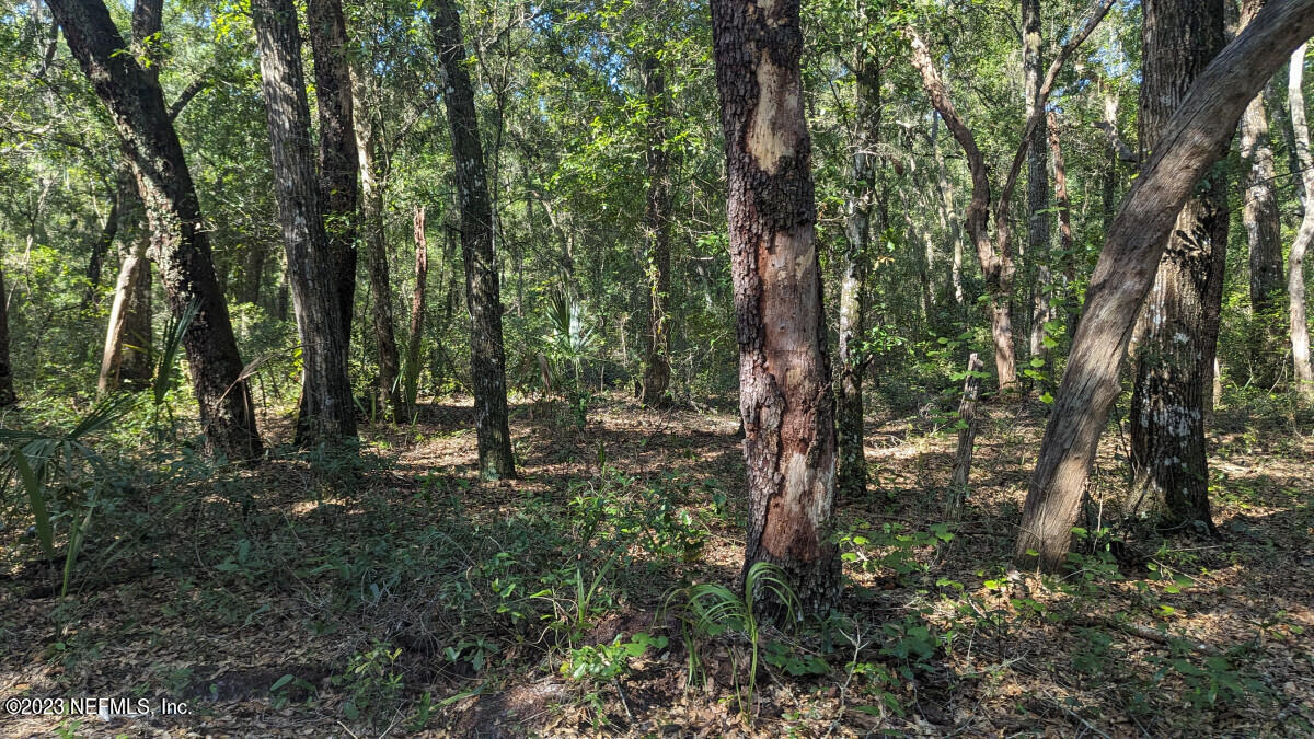 0 Doby Road Satsuma, FL 32189 - Photo 3 of 4