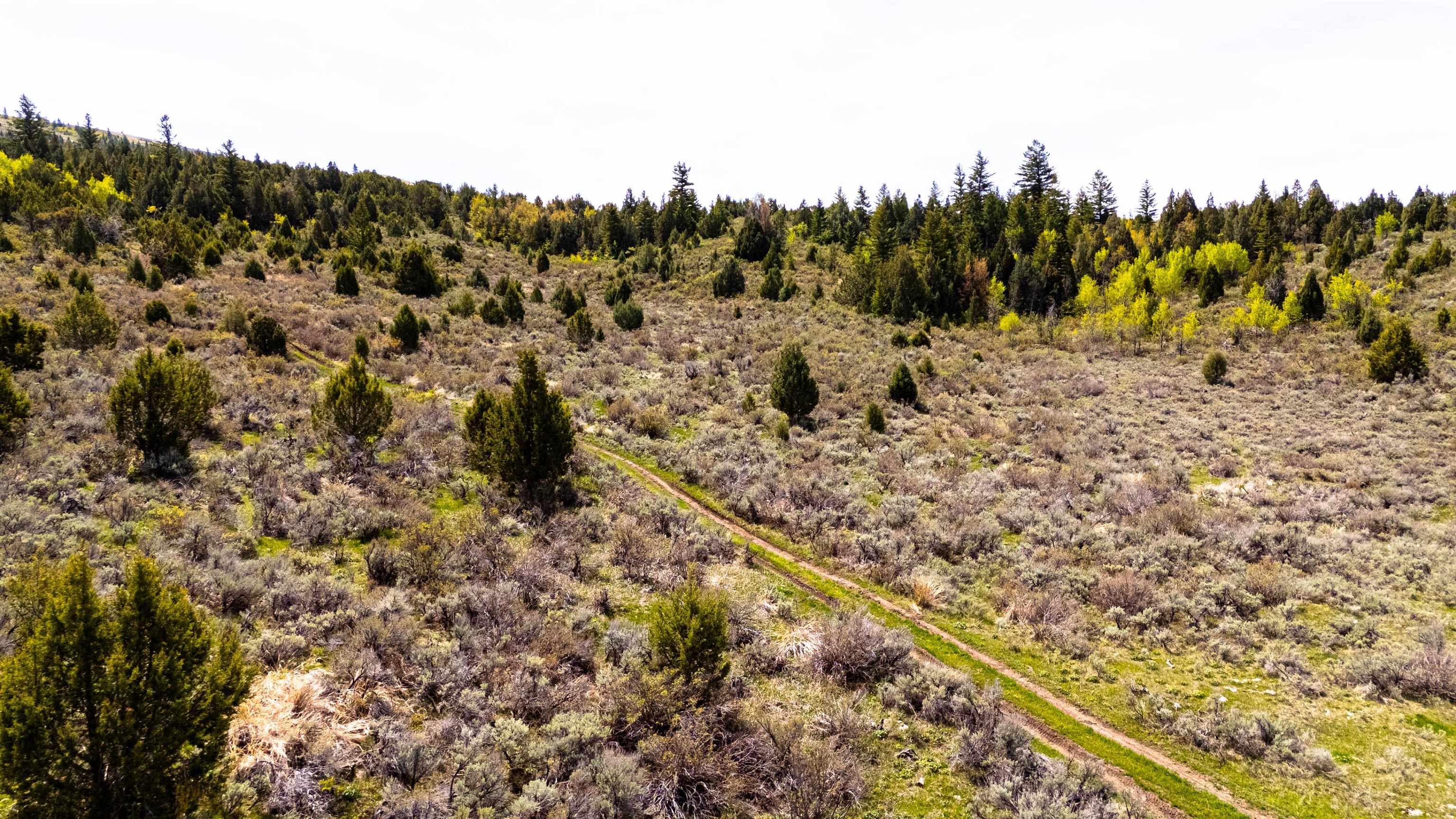 Tbd Fish Creek Road Lava Hot Springs, ID 83246 - Photo 11 of 50 Gallery Image 11