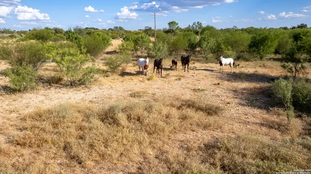 a view of a dry yard with a lake
