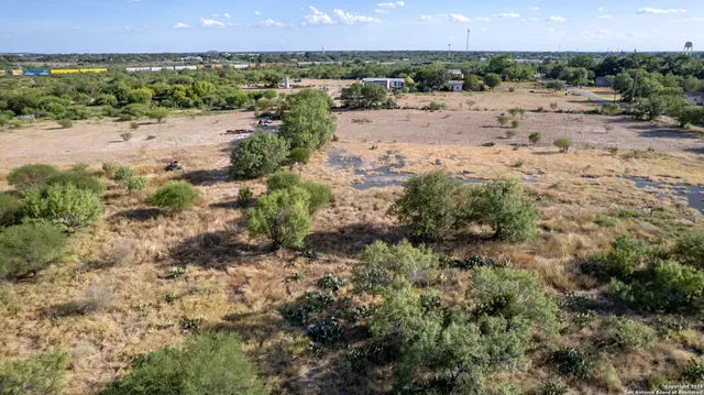 a view of a yard with a tree
