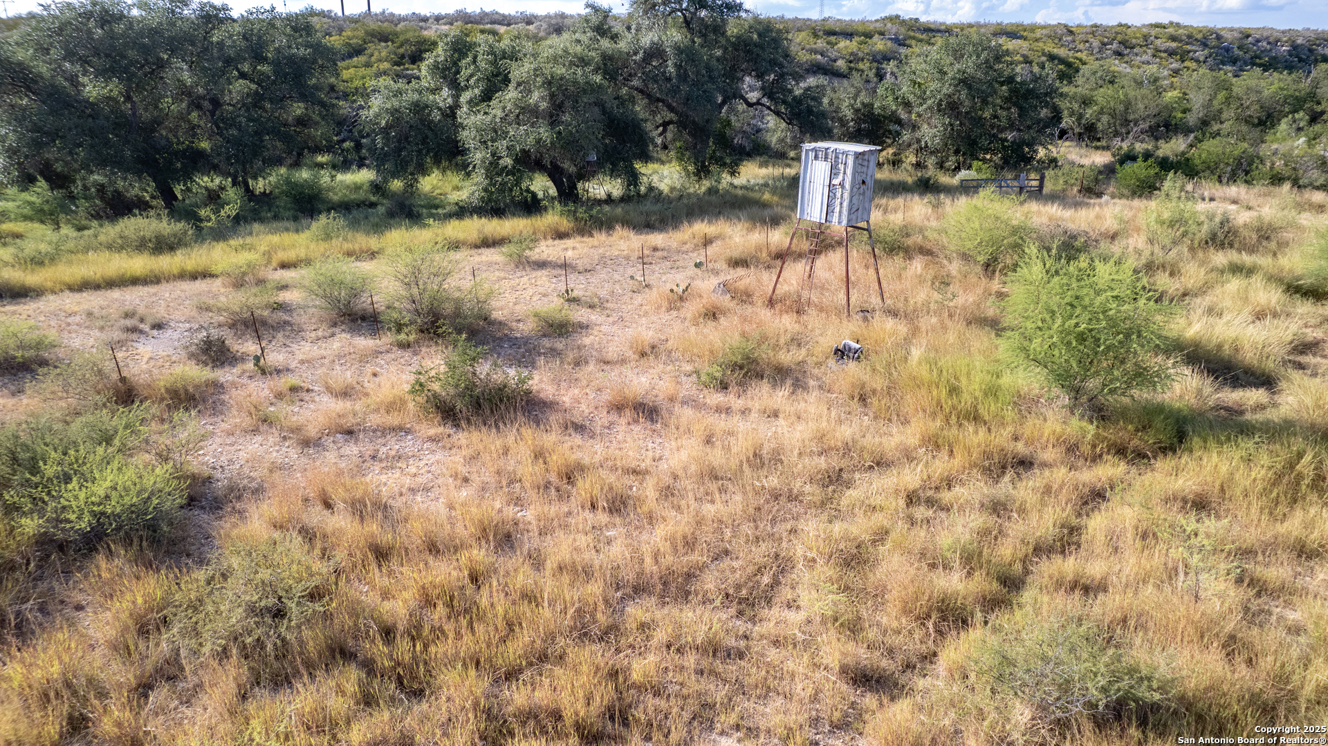 Tbd Tbd Camp Uvalde, TX 78801 - Photo 25 of 25 a view of a yard with a tree