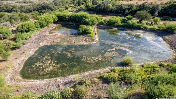 a view of a garden with a lot of trees