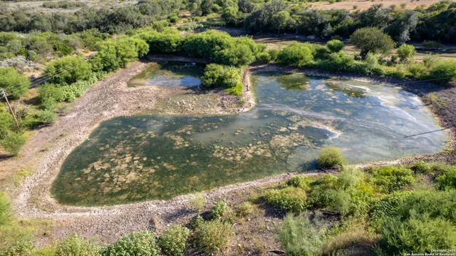 a view of a garden with a lot of trees