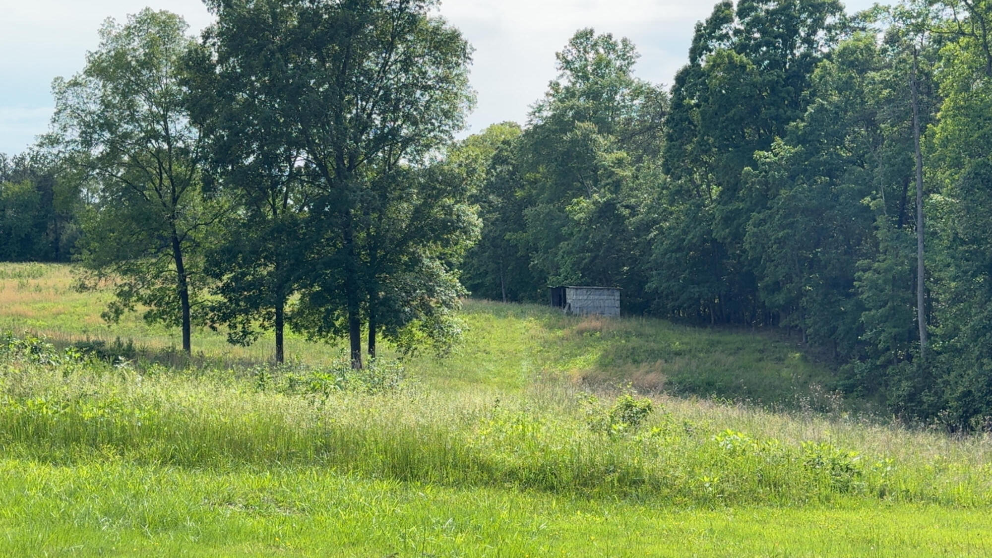1207 Flint Hill Road Moneta, VA 24121 - Photo 4 of 10 a view of a garden