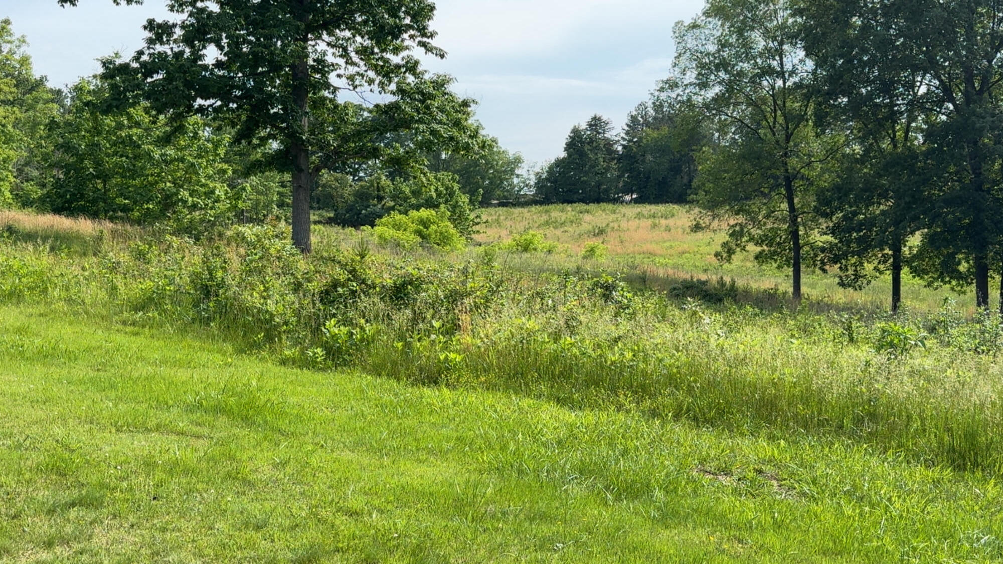 1207 Flint Hill Road Moneta, VA 24121 - Photo 5 of 10 a view of yard with green space