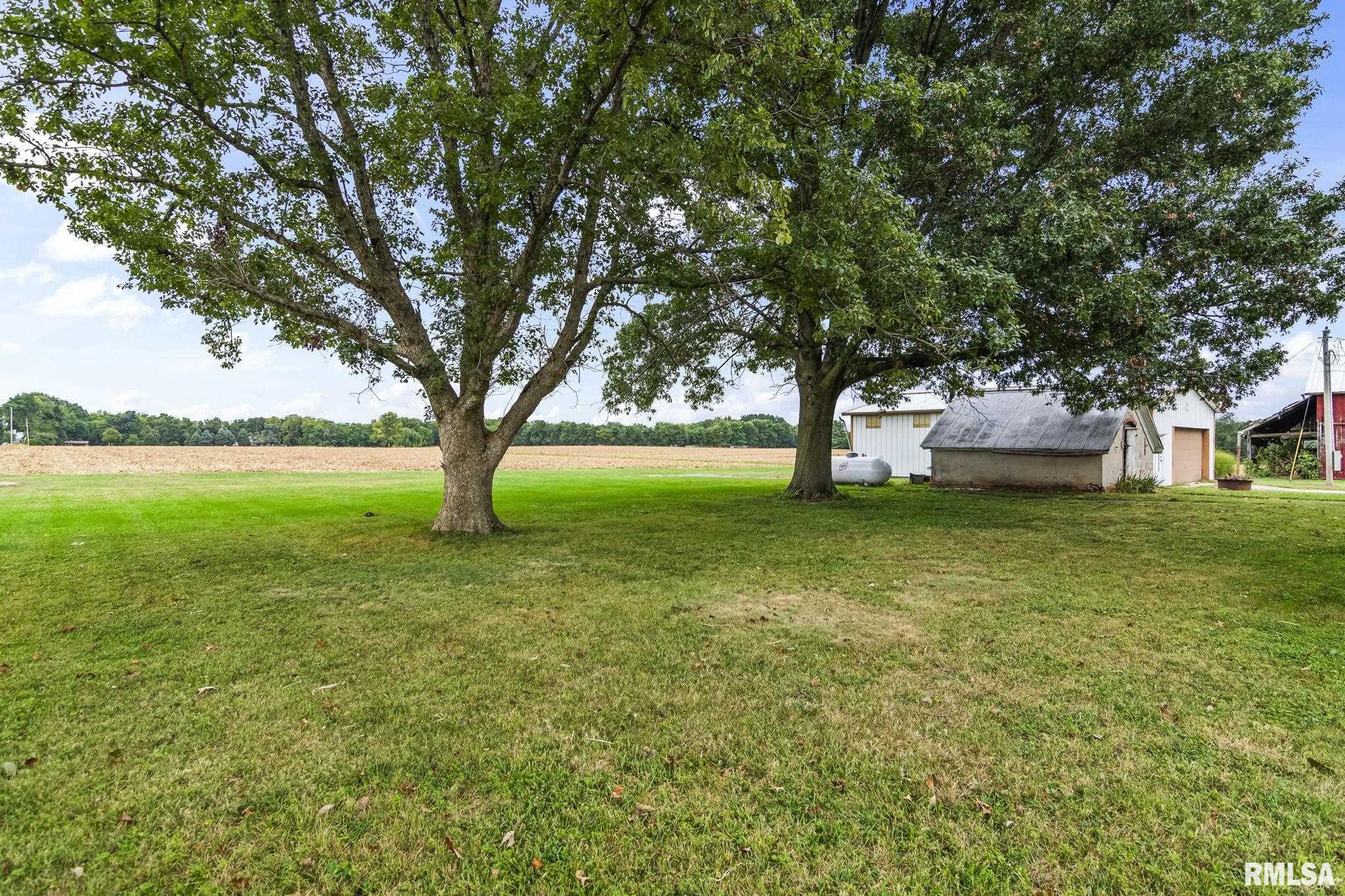 1219 Covered Bridge Road Chatham, IL 62536 - Photo 31 of 47 Gallery Image 31