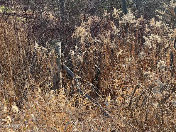 $49,900 | 184 Main Street, Schoharie, NY 12157