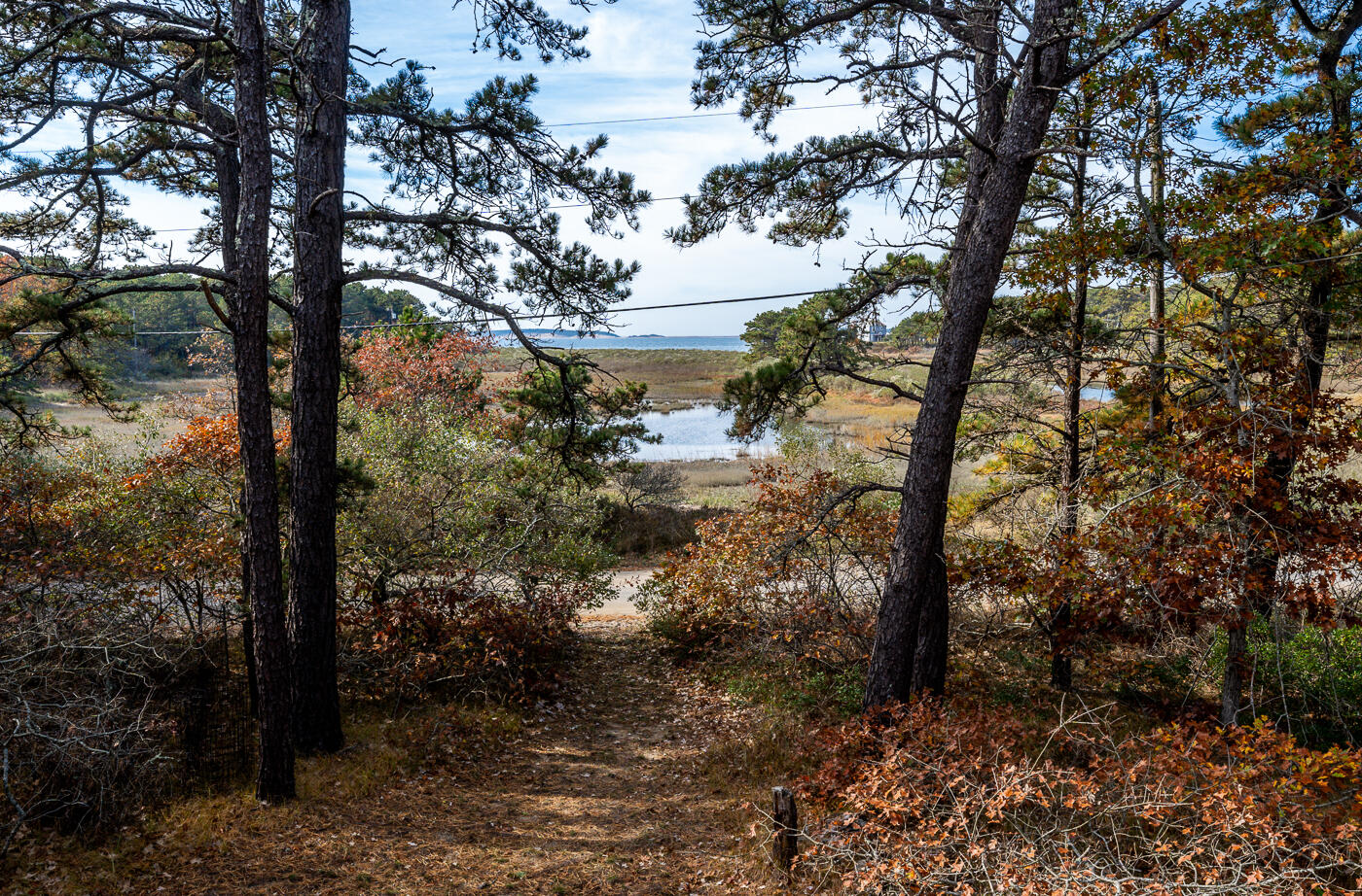 11 Anawan Road Wellfleet, MA 02667 - Photo 41 of 47 deck8