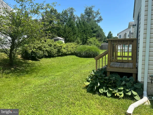 a view of a garden with plants and large trees