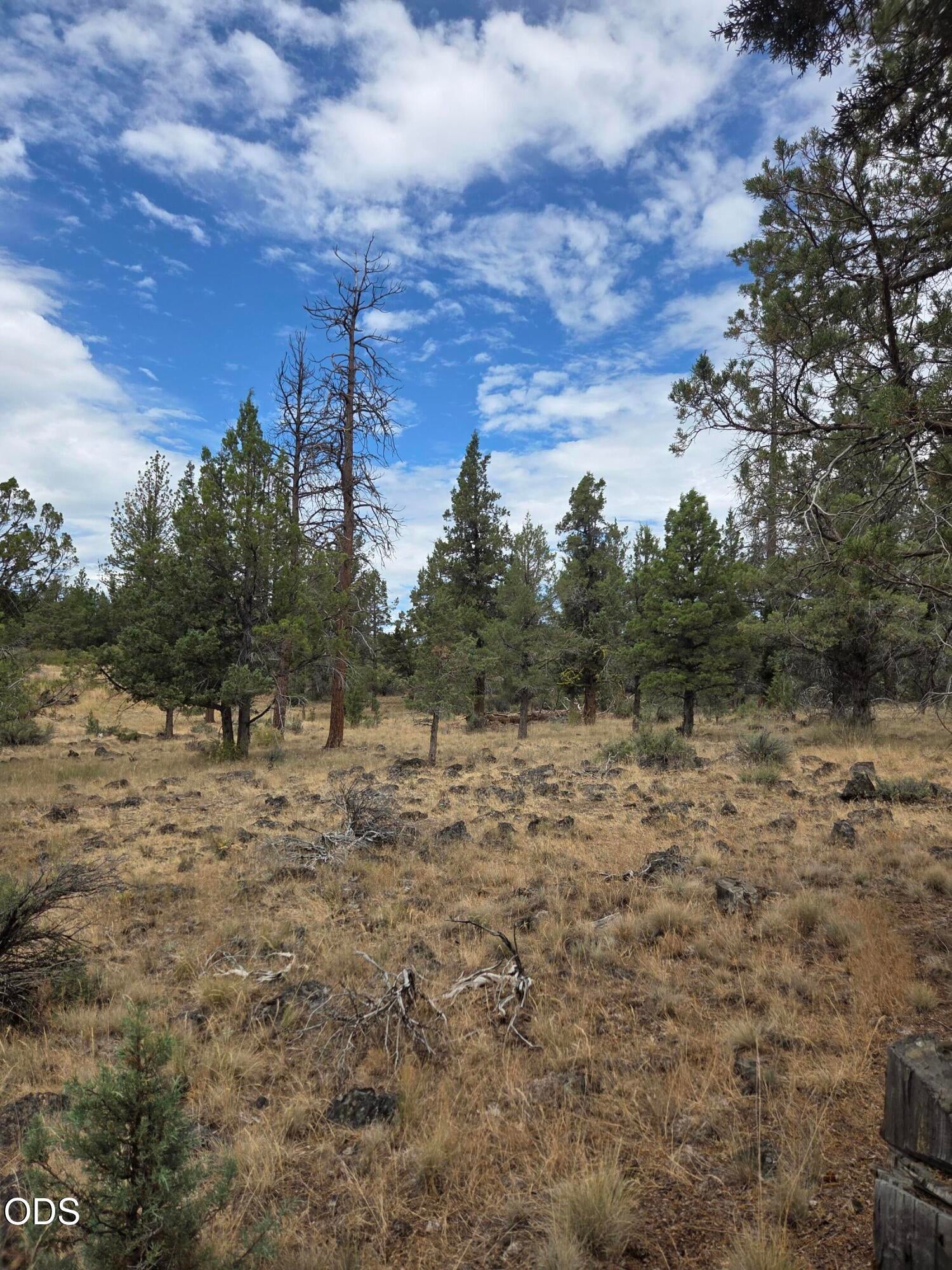 8314 Bly Mountain Cutoff Road Bonanza, OR 97623 - Photo 21 of 29 Gallery Image 21
