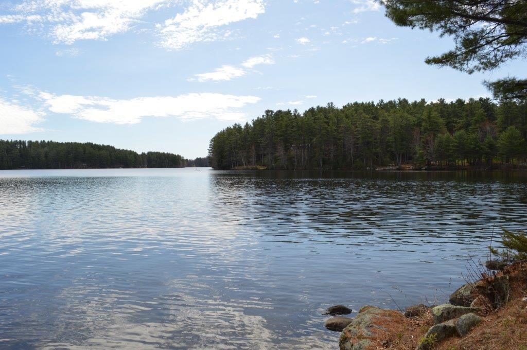 54 Ward Road North Monmouth, ME 04265 - Photo 3 of 16 Photo