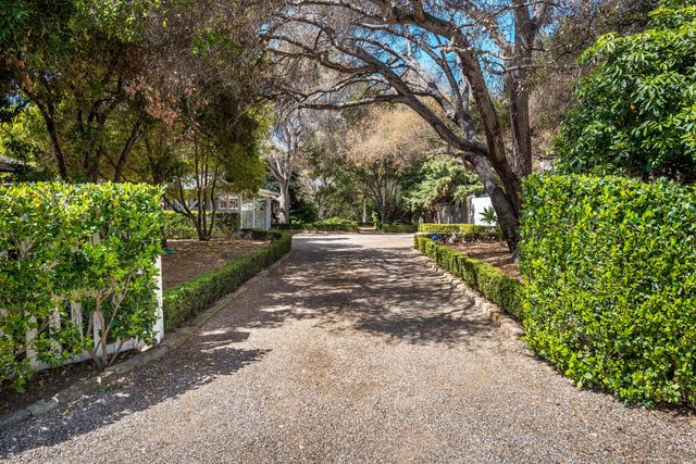 a view of a yard with plants and trees